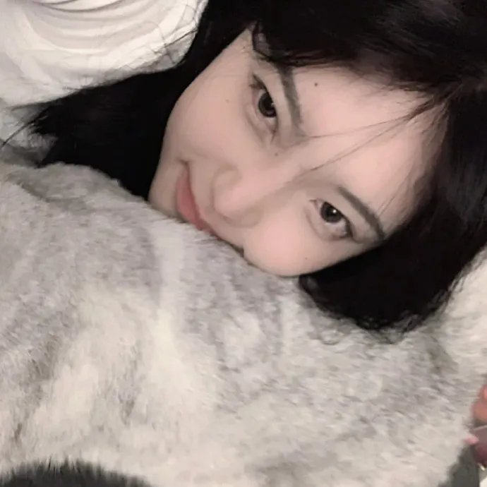 波尔卡的猪
